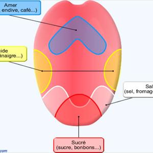 Fruits To Eat For Gout Problem 